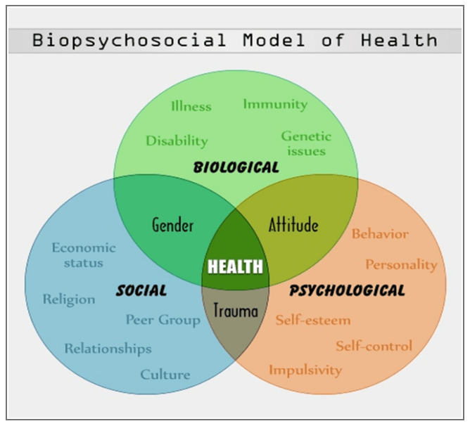 what is psychosocial model of health